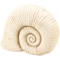 Weathered Nautilus Shell