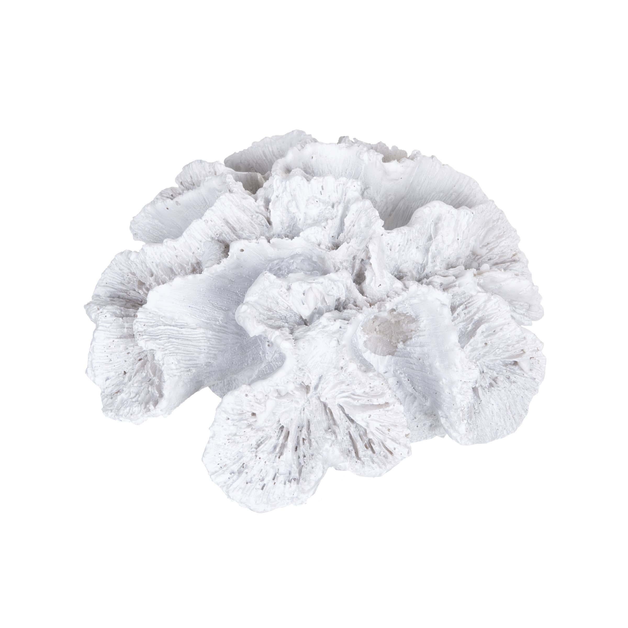 White Coral Accent